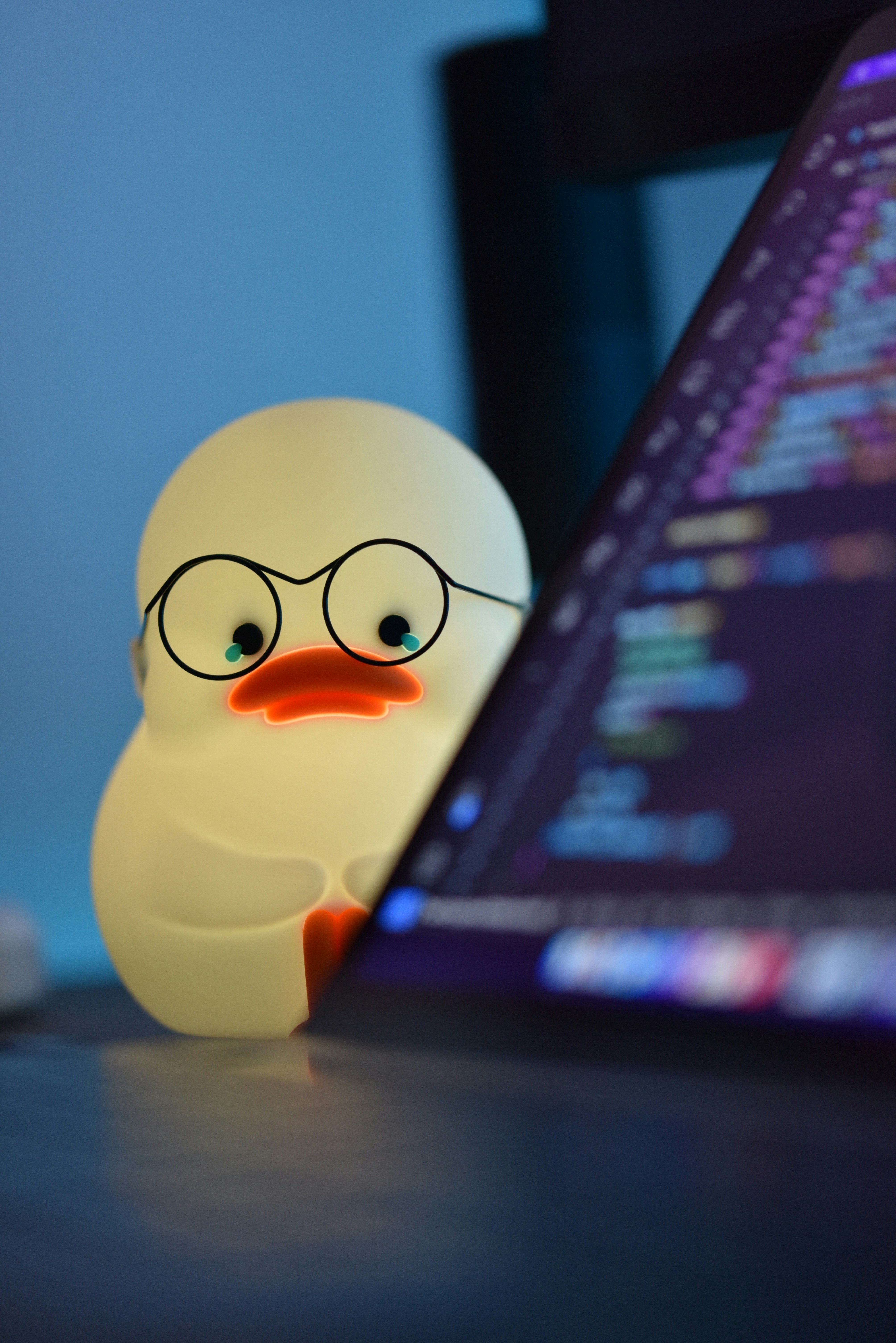 rubber duck holding computer