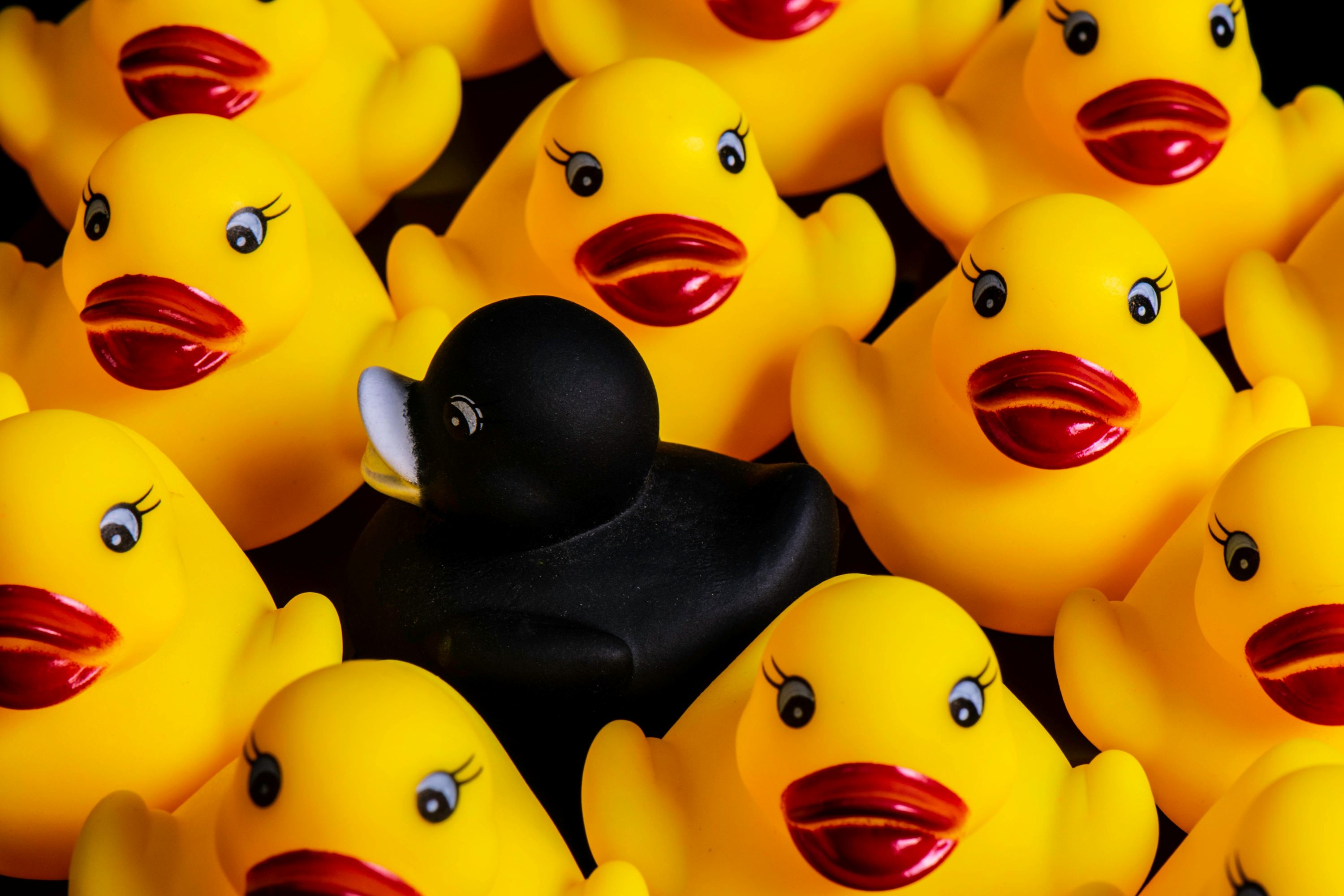 rubber duck image