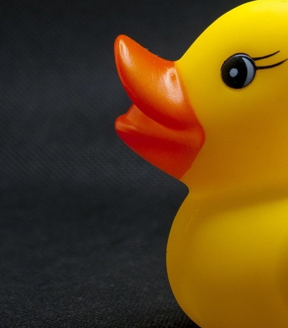 rubber duck image