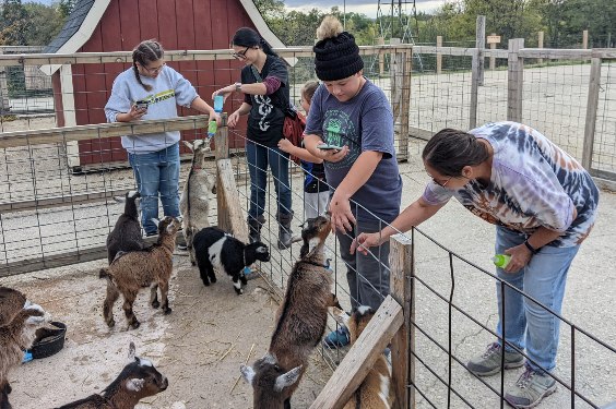 October shenanigans feeding baby goats