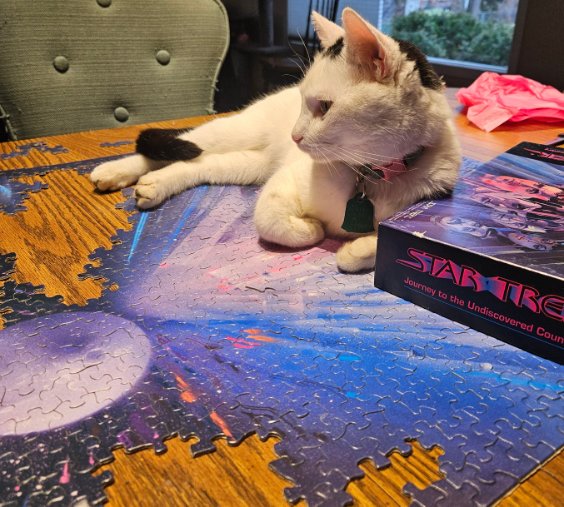 cat puzzle helper
